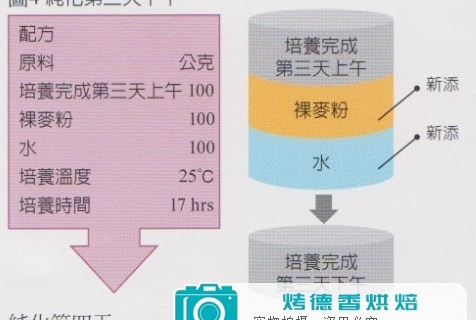 天然酵母纯化与培养之烘焙计算