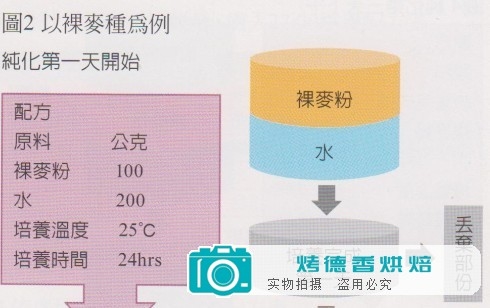 天然酵母纯化与培养之烘焙计算