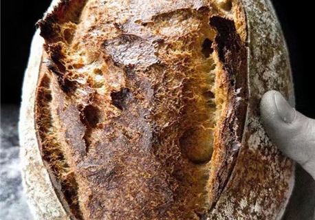 酵母无氧发酵与有氧发酵作用的解析