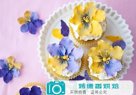 如何制作干佩斯蝴蝶花