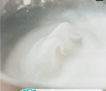 教你如何做好蛋白霜曲奇