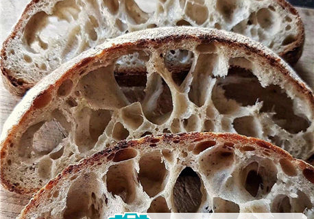 酵母无氧发酵与有氧发酵作用的解析