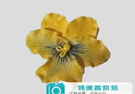 如何制作干佩斯蝴蝶花