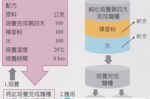 天然酵母纯化与培养之烘焙计算