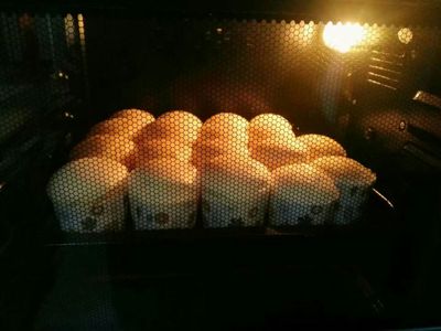 长帝crdf32a电烤箱好不好用？来看看买过的人是怎么评价的！