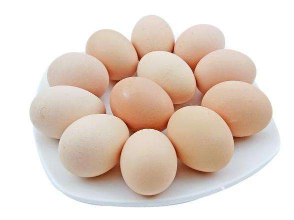 烘焙小知识-烘焙最重要的材料鸡蛋！