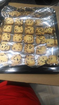 长帝烤箱哪个型号好？长帝crdf32a电烤箱挺适合你的！