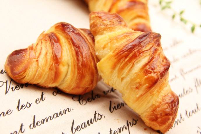 家庭选购什么牌子的电烤箱好？