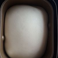 东菱面包机哪个型号好?来看东菱BM1352AE-3C面包机好不好?