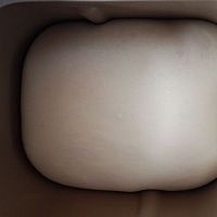 东菱面包机哪个型号好?来看东菱BM1352AE-3C面包机好不好?