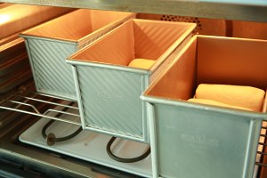 遇上彩虹，吃定“彩虹”——彩虹吐司