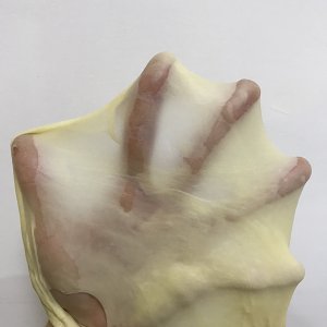 蔓越莓椰蓉面包卷-烘焙食谱