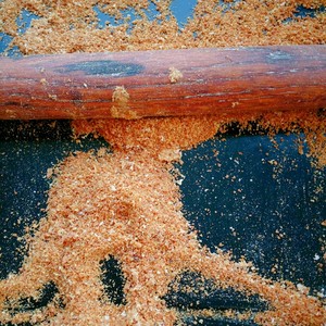 自制面包糠（烤箱版）