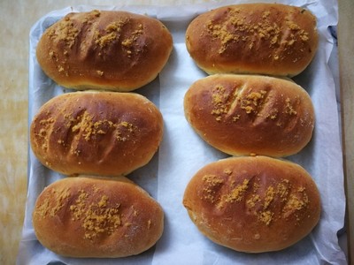 东菱面包机哪个型号好？Donlim/东菱DL-T06S-K面包机好不好呢？【看评价如何！】