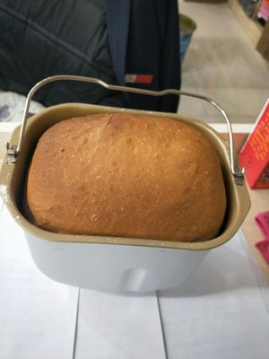 Petrus/柏翠PE6998面包机值不值得买?低廉价格看评价就清楚!