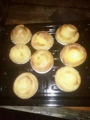 Goluxury/高乐士GT25R-01家用电烤箱怎么样?值不值得买呢?看评价!