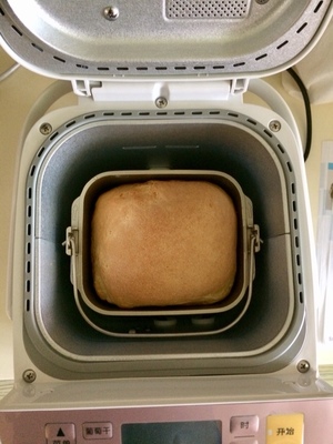 Panasonic/松下SD-PPF100面包机怎么样？值不值得买？【评价如何？】