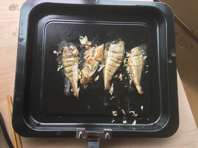 长帝crdf32a电烤箱怎么样？看购买过的人如何评价这款电烤箱！