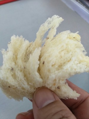 Petrus/柏翠PE9600WT面包机值不值得买呢？看看这个面包机购买评价就清楚！