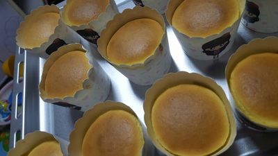 美的 T3-L323D电烤箱好吗?看购买者的评论就清楚了!