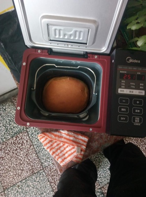 Midea/美的MM-TLS2010多功能面包机值得买吗？看评价就知道这款怎么样？