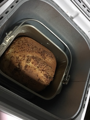 Panasonic/松下SD-PPF100面包机怎么样？值不值得买？【评价如何？】