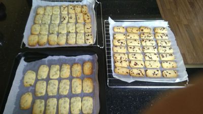 长帝 CRWF32KE电烤箱怎么样？好不好用？看看评价就清楚了。