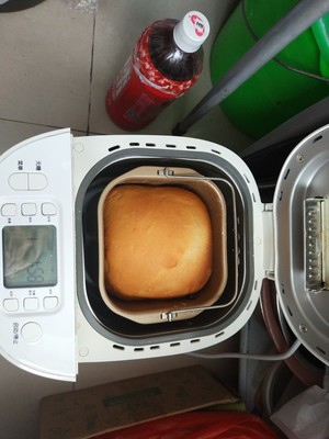 东菱面包机哪个型号好？Donlim/东菱DL-T09G面包机值得买吗？【评价！】