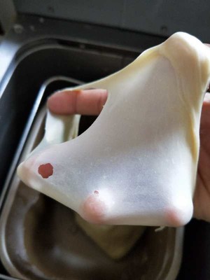 直接法双峰超软土司