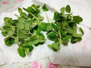 薄荷戚风 制作食谱
