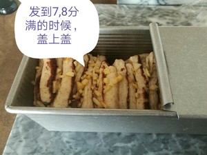 苹果肉桂手撕面包 制作方法