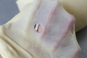 浓香金枪鱼面包 制作食谱