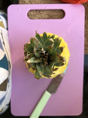 台湾土凤梨酥～酥到掉渣制作方法