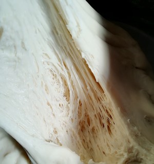 黑骑士面包（法芙娜可可粉）制作方法