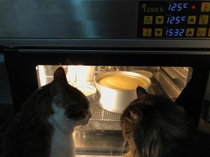 戚风蛋糕制作方法