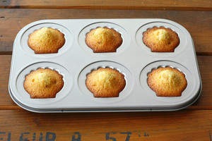 椰子橙香玛德琳 制作方法