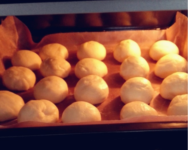 蜂蜜小餐包（一发短平快）制作方法