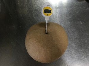 100%纯全麦吐司 制作方法