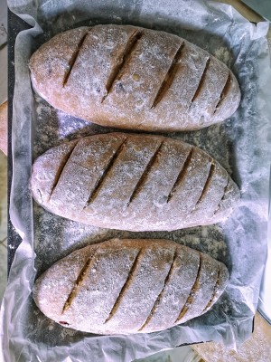 红糖全麦软欧 制作方法