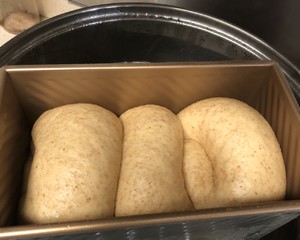 淡奶油吐司 制作方法