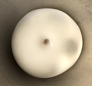 奶香椰丝面包 制作方法