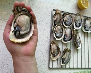 烤生蚝  制作方法