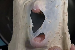 超低卡全麦面包  制作方法