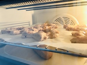 橙香核桃奶露包  制作方法