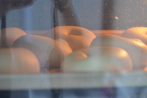 原味贝果 制作方法