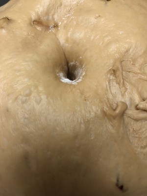 红糖大枣核桃吐司  制作方法