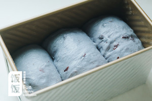 蓝天吐司 制作方法