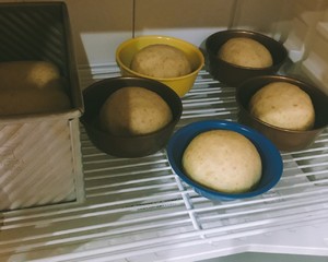 全麦吐司（适合做三明治）  制作方法