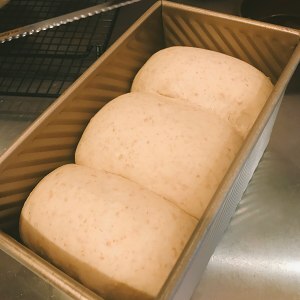 全麦吐司（适合做三明治）  制作方法