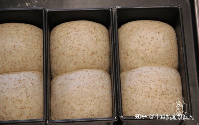 初学者用烤箱做面包?我们做了4款全麦粉占比不同的吐司,到底哪款最适合减脂?
